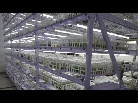 Inside the laboratories of AKF || Yash Rathod