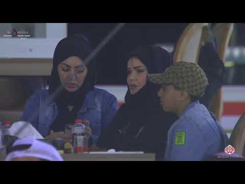 N 368 BAHY AL HAWAJER   Al Shiraa International Arabian Horse Show 2020