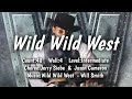 Wild Wild West Line Dance Demo 펑키라인