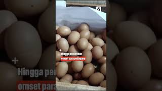 Download lagu Harga Telur Ayam Naik, Omzet Pedagang Turun 50 Persen #Shorts mp3