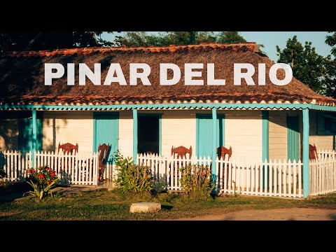 Pinar del Rio I Cuba Buddy