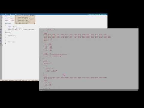 Hopper Tutorial : IDE Compiler Options