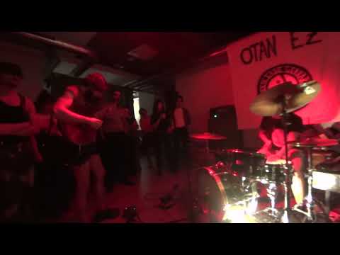 Dreymandi Hundur I Sarean 16 10 2022