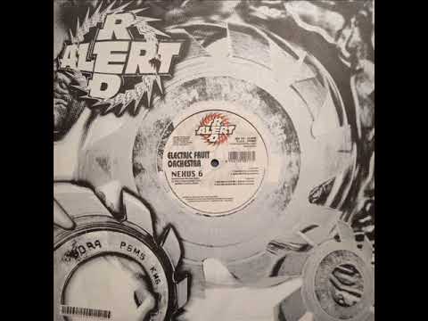 ELECTRIC FRUIT ORCHESTRA = Nexus 6(1999)