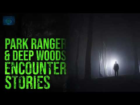 THERE'S SOMETHING IN THE WOODS - SCARY STORIES OF PARK RANGER STORIES AND DEEP WOODS