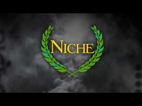 DJ Richard - Niche Allnighter Classics Mix *oldskool bassline / niche / speed garage*