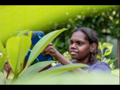 God's Good Plan (Tamara Joshua, Nungalinya Music & Media class, 2023)