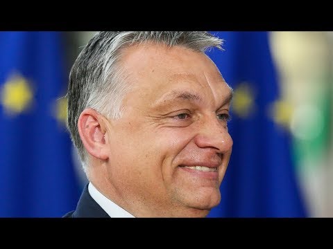 A MAGYAR POLITIKA | PARÓDIA (By:. Peti)