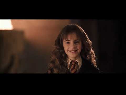 Harry Potter and the Chamber of Secrets - Hermione revived from being petrified- Hugs Harry