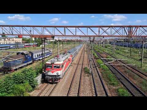 Delfinul 477 888, tranzitând zona Basarab