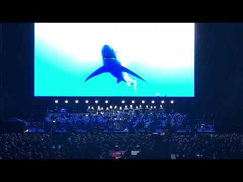 Blue Planet II - Live In Concert (Main Theme)
