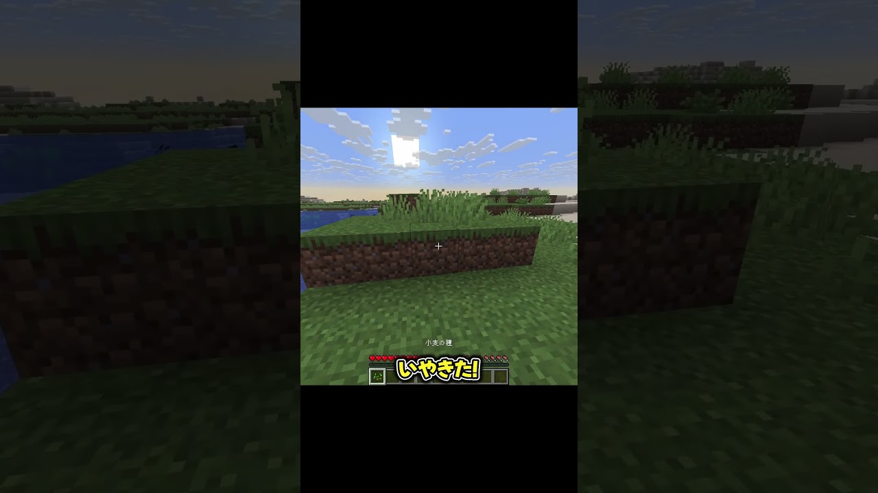 【世界記録樹立!?】種をGETするRTAしたらえぐすぎる記録が出たwwwww【まいくら・マインクラフト】 #shorts