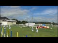 Agility Lesson Bordercollie CHIP 2022 0728