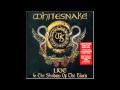 Whitesnake - Dog