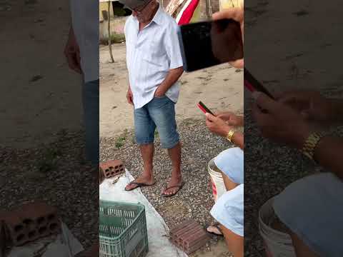 Piscicultura do Roque em Cacimba de Dentro PB – Você Precisa Ver Como é por Dentro!  Pt 05 #paraíba