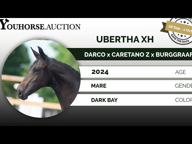 Ubertha XH
