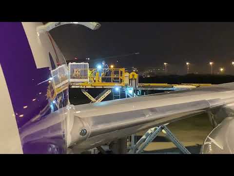 9 de novembro de 2023: Pandas gigantes desembarcam do FedEx Panda Express em Chengdu, China