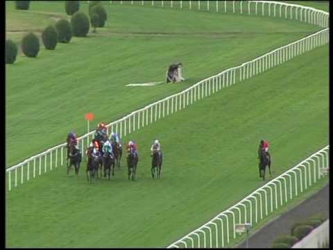 CENA ADELI MEDICAL CENTER