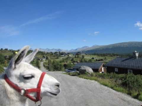 Selvfølgelig video