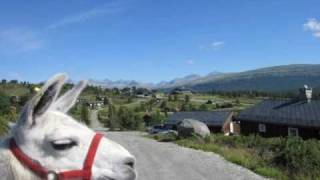 Selvfølgelig med Di Derre