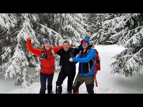 At ŞIPOTE 1050 m - FORBAN cabin 1217 m - BAIULUI saddle 1354 m - DIHAM cabin 1320 m