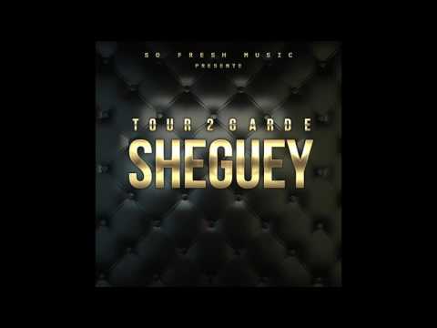Tour 2 Garde - Sheguey (Audio Officiel)