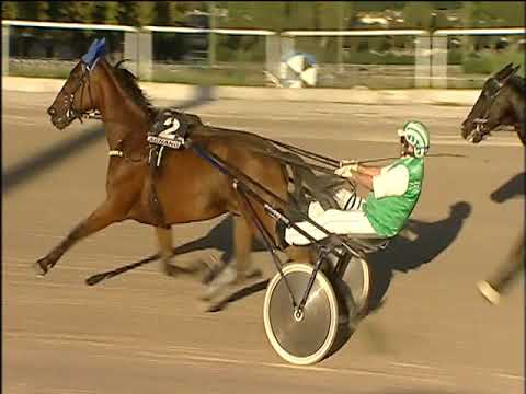 Trotto 04/10/2019 - 7ª corsa