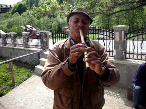 Banu Ion fuierasu de la slon