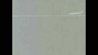 Breach - Sphincter Ani / Alarma