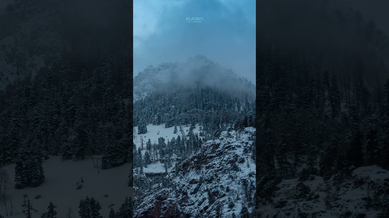 Alpine Ecosystem: Wildlife Adaptations in Snowy Mountains