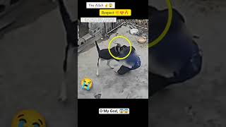 Yea Allah ☝️😇 Respect 😍 #allah #shorts #status #respect