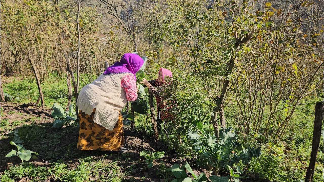 CEMİLE ABUMUN AVLUSU TEMİZLEDİK  YALLIK TOPLADIK‼️