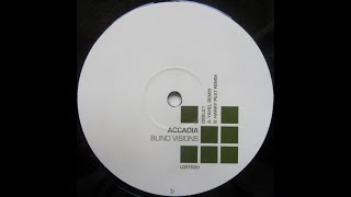 Accadia - Blind Visions (Harry Peat Remix)