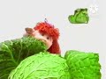 Cabbage Patch Kids 1995 Australia