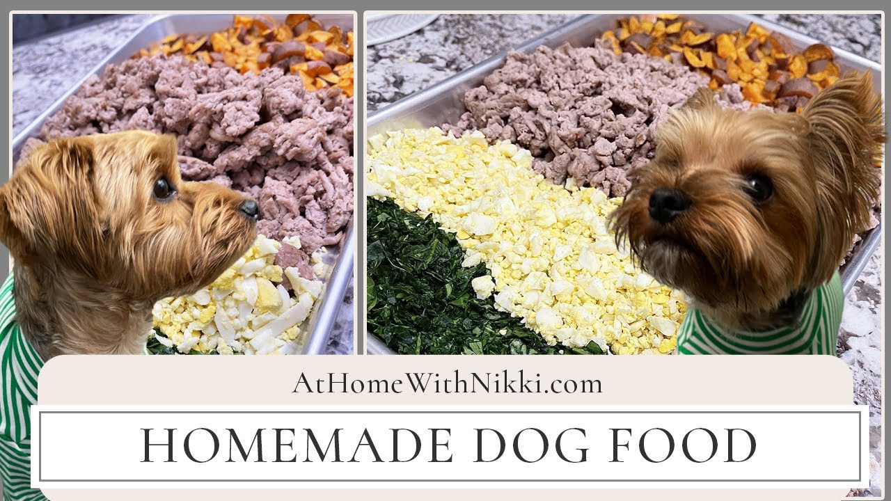 How To Make Homemade Dog Food
