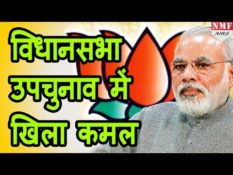 NDA wins 7 out of 12 seats in state assemblies by-elections 2016