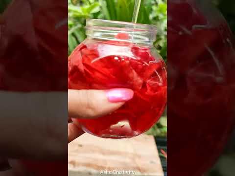 Hibiscus Hair Oil For long, Shiny & Frizzy Free Hair🌺#shorts #ytshorts