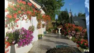 francis cabrel    presque rien