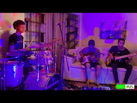 Pau Brasil A Terra Das Cascatas