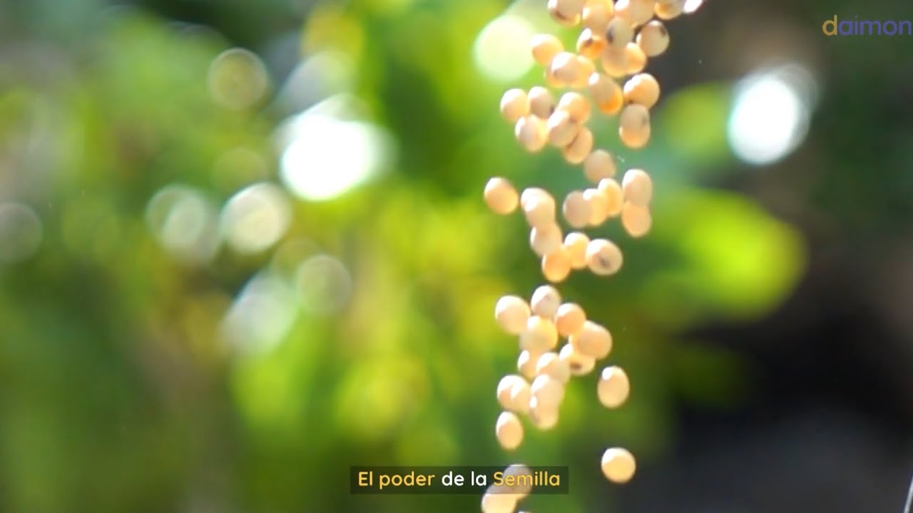 El poder la semilla | Enfrenta los desafíos con valentía