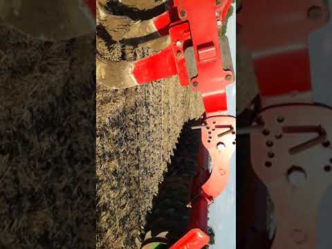 Głebosz w akcji Kret 5 + wał paker