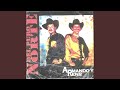 Ingrata Traicionera Mix