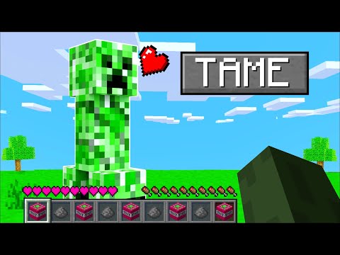 Tame a Zombie in Minecraft?! New Creeper Mod!
