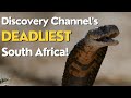 Full Discovery Channel Documentary Marathon: Deadliest South Africa