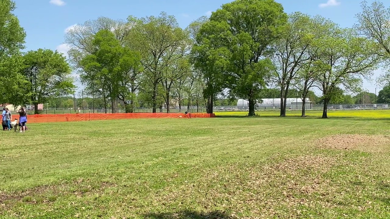 YouTube video preview