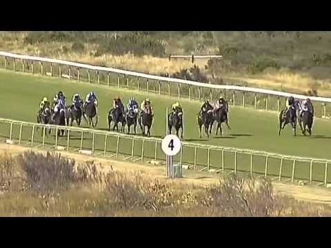 2015.12.05 Wsb Southern Cross Stakes (RSA) - Carry on Alice