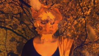 Perpetual Music Video