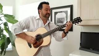 Mary had a little Lamb/Scuttle Buttin'. SRV cover on a Hayes Concert Guitar crafted by Steve Hogshed