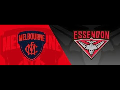 1987 National Panasonic Cup Grand Final Melbourne vs Essendon