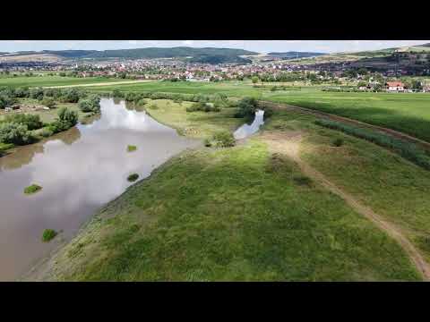 Râul Mureș Curteni - Sântana - Sângeorgiu de Mureș